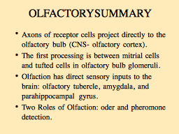 OLFACTORY SUMMARY