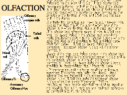 OLFACTION
