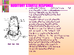 AUDITORY STARTLE RESPONSE