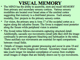 Slide 12