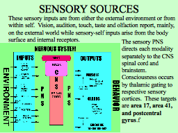 Slide 7