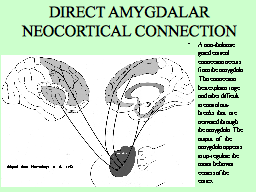 Slide 14