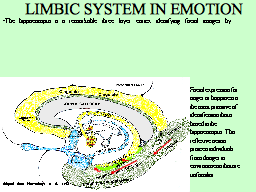 Slide 8