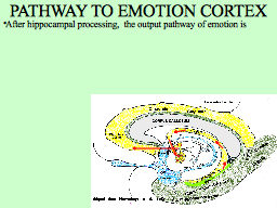 Slide 10