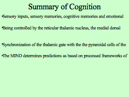 Slide 11