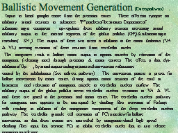 Slide 13