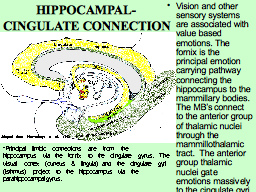 Slide 12