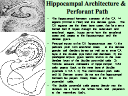 Slide 15