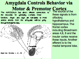 Slide 17
