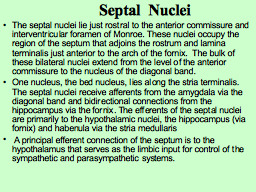 Slide 7
