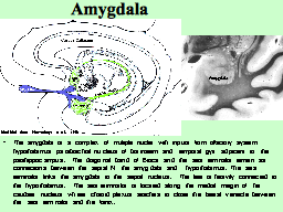Slide 16