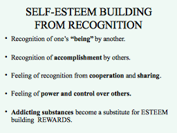 Slide 11
