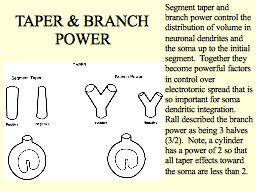 Slide 12