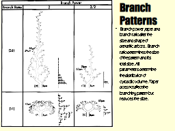 Slide 13