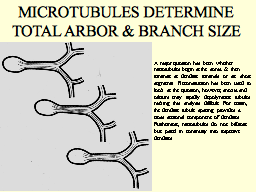 Slide 14