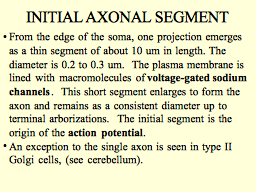 Slide 16