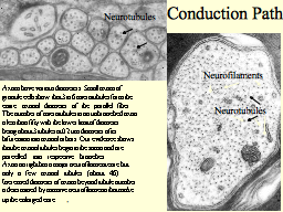 Slide 17