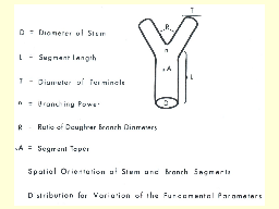 Slide 19