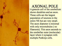 Slide 20
