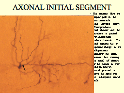 Slide 21