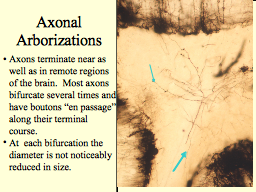 Slide 23