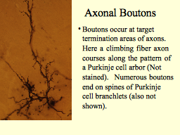 Slide 24