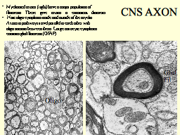 Slide 26