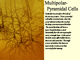 Slide 7