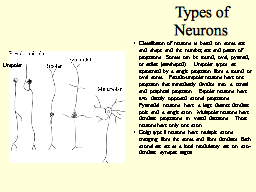 Slide 9