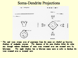 Slide 10