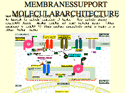 MEMBRANES SUPPORT MOLECULAR ARCHITECTURE 