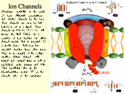 Ion Channels