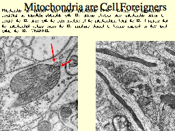  Mitochondria are Cell Foreigners