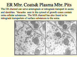 ER Mbr. Coats& Plasma Mbr. Pits 
