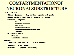 COMPARTMENTATION OF  NEURONAL SUBSTRUCTURE