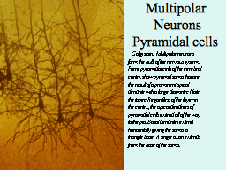 Slide 11