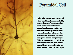 Slide 12