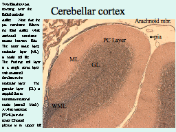 Slide 13