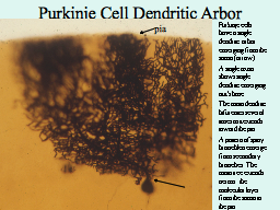 Slide 14