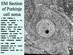 Slide 16