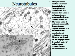 Slide 18
