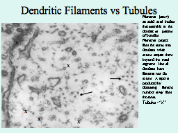 Slide 19