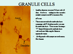 Slide 20