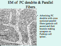 Slide 22