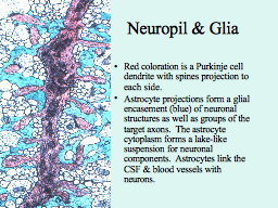 Slide 23