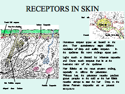 Slide 27