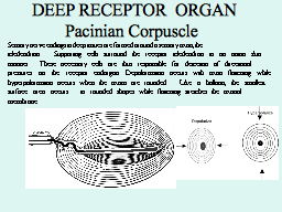 Slide 28