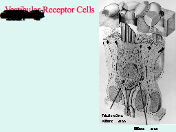 Slide 31