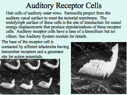 Slide 32