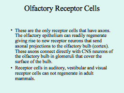 Slide 35